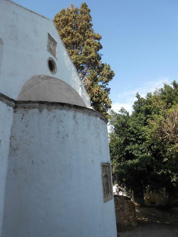 Rodhiá Goat Vacationsヴィラ エクステリア 写真